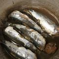 ズーミノ's cooksnap of when they made イワシの梅煮.