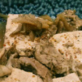 きえまま's cooksnap of when they made 簡単！いりこ出汁☆豚コマ絹揚げ豆腐の煮物.