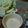 連続大魔王's cooksnap of when they made 生キャベツがモリモリ食べられるマヨ味噌.