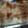 コロネ☆'s cooksnap of when they made 牡蠣とほうれん草の豆乳グラタン.