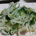 ふう☆'s cooksnap of when they made 簡単☆もやしとネギの青いところ炒め.