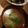 eiyoushi's cooksnap of when they made ワカメスープ♪ヽ(*´з｀*)ﾉ.
