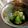 macky_'s cooksnap of when they made つぼみ菜の即席お浸し.