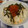 はるのこのこみち's cooksnap of when they made うちのはらこめし.