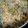 るこたん♪'s cooksnap of when they made 卵と玉ねぎの中華スープ.