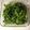 クックQIRKAB☆'s cooksnap of when they made クセになる味！豆苗の塩昆布和え.
