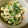 sjhappy's cooksnap of when they made 春菊のわさマヨ和え.