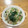 コーヒー甘め's cooksnap of when they made もやしとほうれん草の塩コンブナムル.