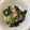 クックL10QDS☆'s cooksnap of when they made 黒酢で作った＊酢の物.