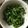 naoki1203's cooksnap of when they made 菜の花のわさびマヨ遭え*＊*＊*.