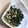 ゆーあちん's cooksnap of when they made 春菊とかまぼこの胡麻和え.