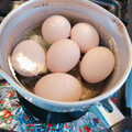 sw_1kit's cooksnap of when they made 基本基礎ゆでたまごの作り方.