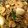 dentalako's cooksnap of when they made 海鮮もやしあんかけ炒め.