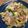 ガッちやん's cooksnap of when they made 豚バラと長ネギのにんにく炒め.