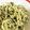 Ayming's cooksnap of when they made ミキサー不要★自家製ジェノベーゼパスタ.