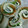 ナナミ０８３０'s cooksnap of when they made お弁当・簡単・おつまみ・ちくわチーズ.