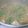 くむちん's cooksnap of when they made 酒粕入り♡味噌ごま鍋.