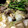 たなかno's cooksnap of when they made すき焼き割下(自分用メモ).