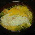 味噌煮込み７５８'s cooksnap of when they made ダブル玉子丼.