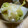 そらてんママ's cooksnap of when they made 白菜と大根の塩麹と醤油麹の煮物　簡単　.