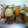 ひまわりベーカリー's cooksnap of when they made 鶏と里芋と大根でてりっと煮物.