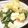 卵せんべい's cooksnap of when they made ハムと卵のヘルシー豆腐の彩り中華炒め.