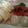 ♡sayulily♡'s cooksnap of when they made ほんのり紅茶なトマトサラダ(*'-').