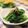 ぽっぽぺぺ's cooksnap of when they made 小松菜が美味しい♬とろろ昆布で翁和え.