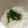 るなぷり's cooksnap of when they made 簡単離乳食♥あおさふりかけ♥初期中期後期.