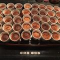 クックU17Y35☆'s cooksnap of when they made ノンオイルで簡単★チョコシフォンケーキ.