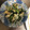クックZ8J4H4☆'s cooksnap of when they made 小松菜・えのき・おあげの煮浸し.