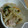 たけなお☆'s cooksnap of when they made レンジで★豚肉と野菜のほんだし蒸し.