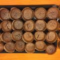 まみゆ67's cooksnap of when they made 簡単☆チョコカップケーキ♡.