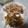 あさき母's cooksnap of when they made お弁当に✿豚肉の生姜オイスターマヨ炒め.