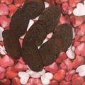 ami〜mam's cooksnap of when they made しみチョコラスク £ονё♥.