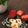 tuki150's cooksnap of when they made 簡単☆チョコレートソーセージ.