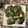 クックDHBWV7☆'s cooksnap of when they made サバの大葉海苔巻き揚げ.
