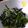 peru0826's cooksnap of when they made 春菊と韓国のりのゴマあえ.