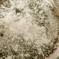 kayausagi's cooksnap of when they made 簡単♪おいしい★本格ガトーショコラ.