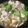 ma710ma's cooksnap of when they made 白菜と豆腐の中華風あんかけ.