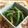nahotamama's cooksnap of when they made インゲンのごまあえ.