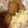 クック9JEEQ8☆'s cooksnap of when they made 本格タルタルソース♪.