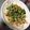 みにまむ佐藤's cooksnap of when they made 豆苗とツナの即席あえ.