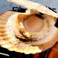 もじゃこてつー's cooksnap of when they made バーベキューに！ホタテ等二枚貝の焼き方！.