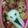 蒼しゅん's cooksnap of when they made 時々　キャラ弁♪　ハロウィンおばけ運動会.