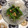 ぽぽきゅ's cooksnap of when they made いんげんのくるみ和え.