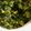 クックSUQ3AQ☆'s cooksnap of when they made ブロッコリーの枝葉で！しっとりふりかけ☆.