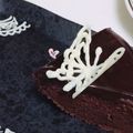 クックIAJVSV☆'s cooksnap of when they made チョコ蝶.