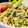 Superlittleboo's cooksnap of when they made 鶏のささみときゅうりのごまサラダ.
