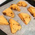 なぎさ▽▲'s cooksnap of when they made 簡単☆HMスコーン.